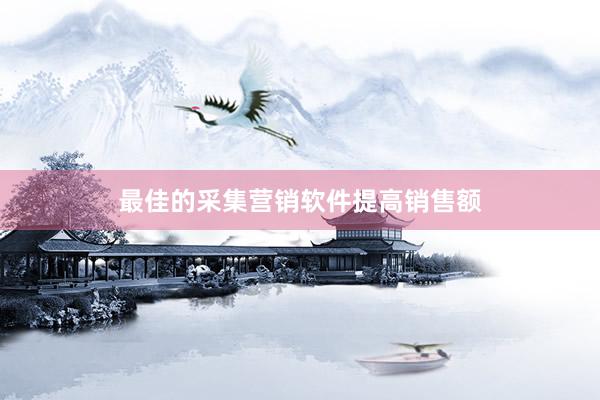 最佳的采集营销软件提高销售额