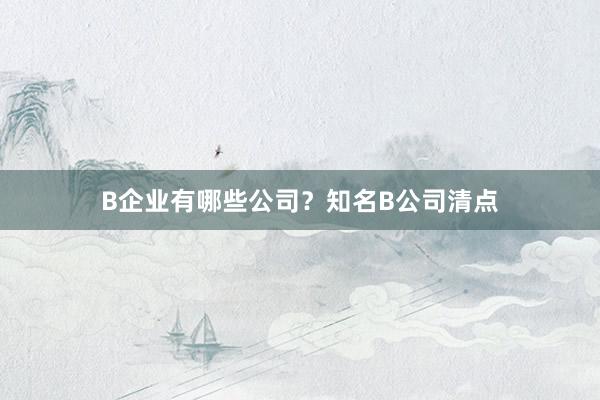 B企业有哪些公司？知名B公司清点